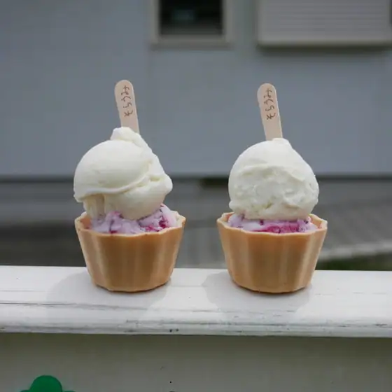 Yakushima Gelato Soraumi