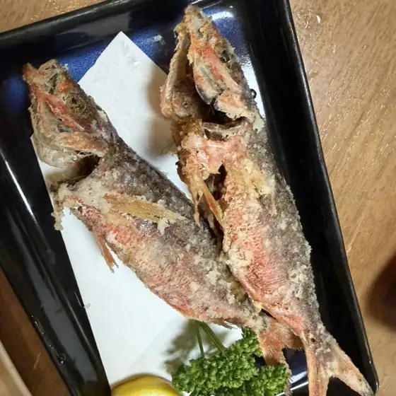 Kayoi Bune