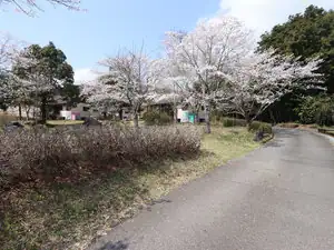 Mori no Yakata Yuttarikan
