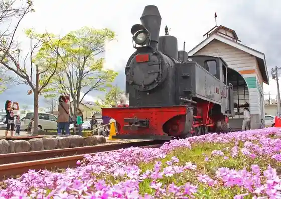 Kahoku Chuo Koen Imoko Ressha
