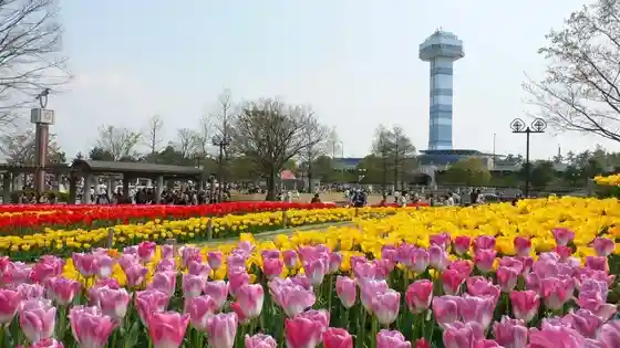 Kiso Sansen Park Center (Water and Greenery Hall Observation Tower)