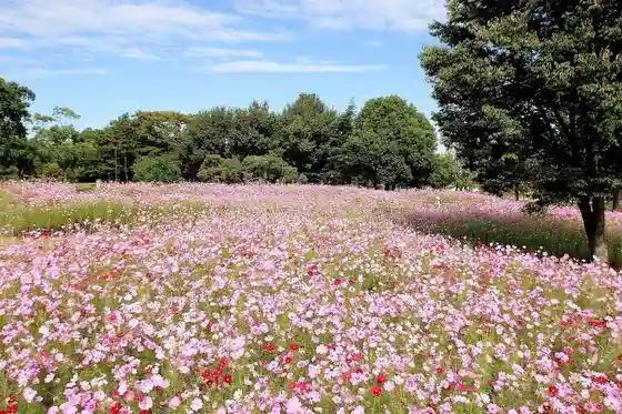 Aki no Hana Monogatari