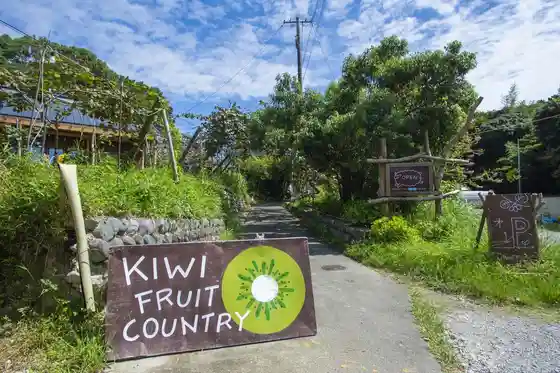 Kiwi Fruit Country Japan