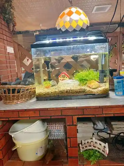 果樹園