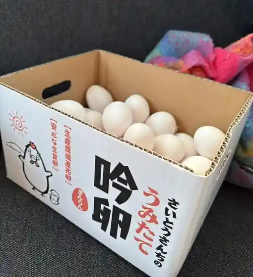 斎藤養鶏場
