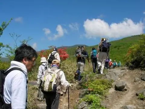 Mt. Goyo