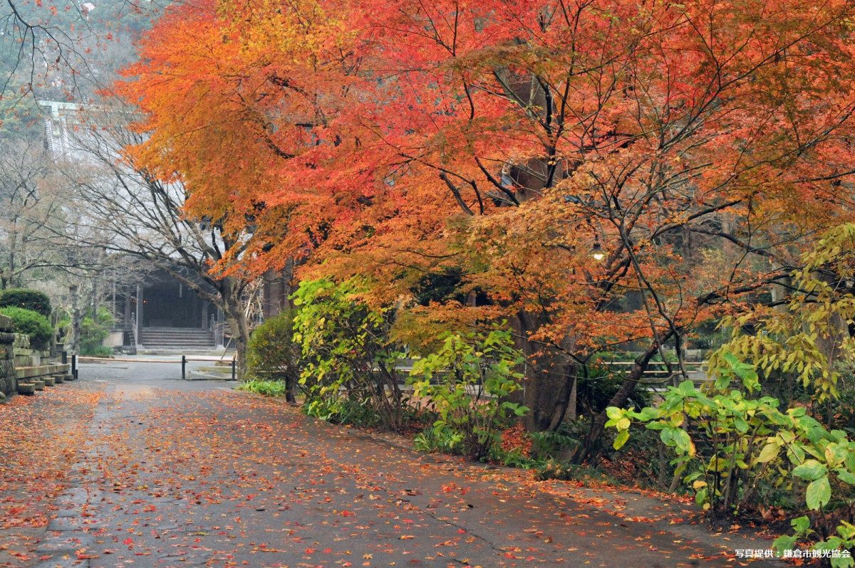 Myohon-ji Temple