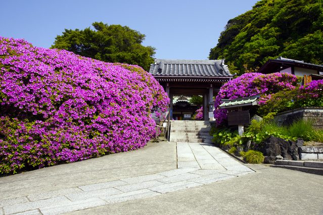 Anyo-in Temple