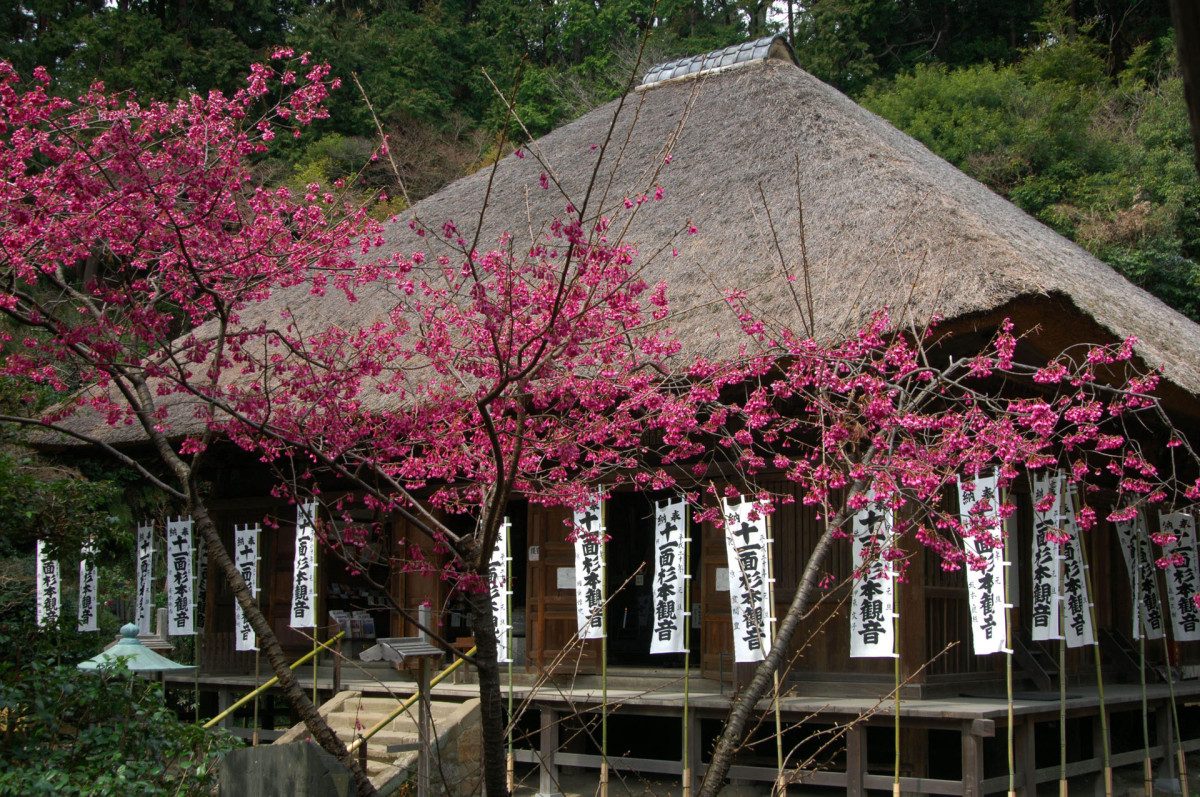 Sugimoto-ji