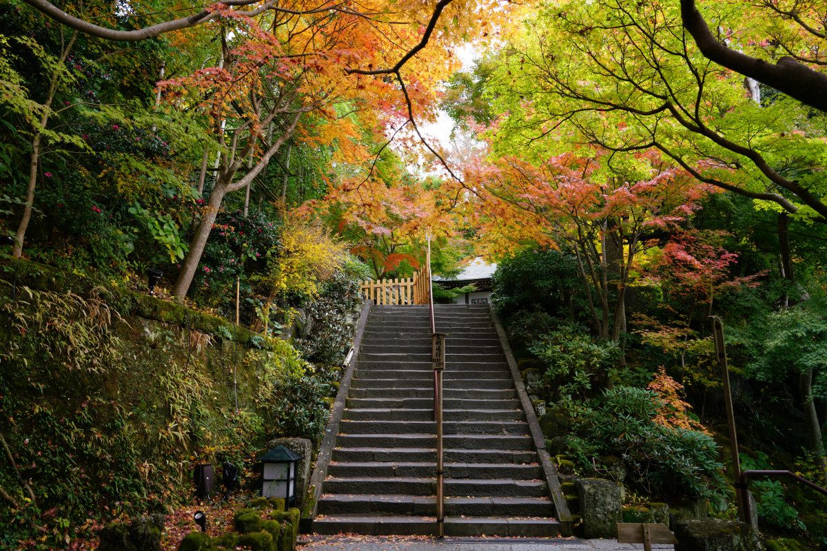Hasedera Temple