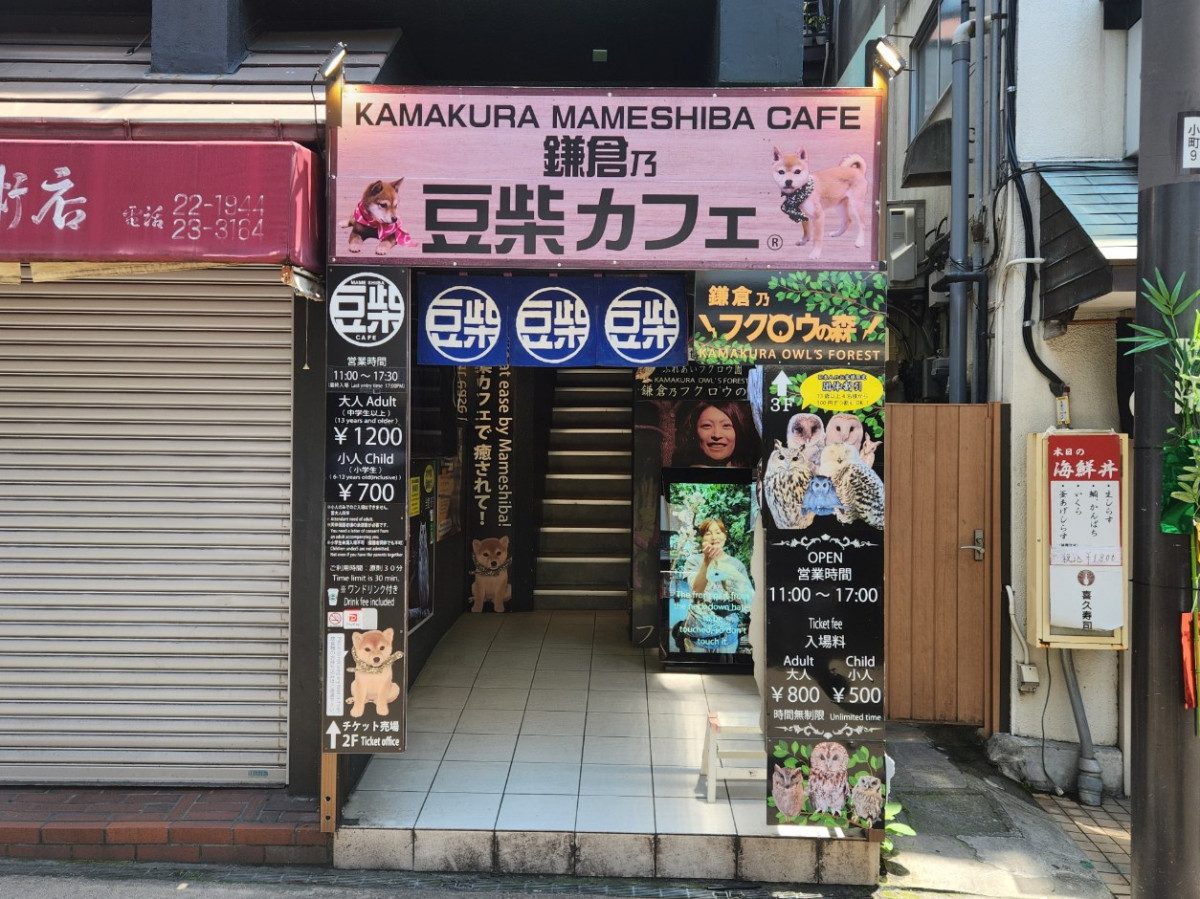 Kamakura Owl Forest
