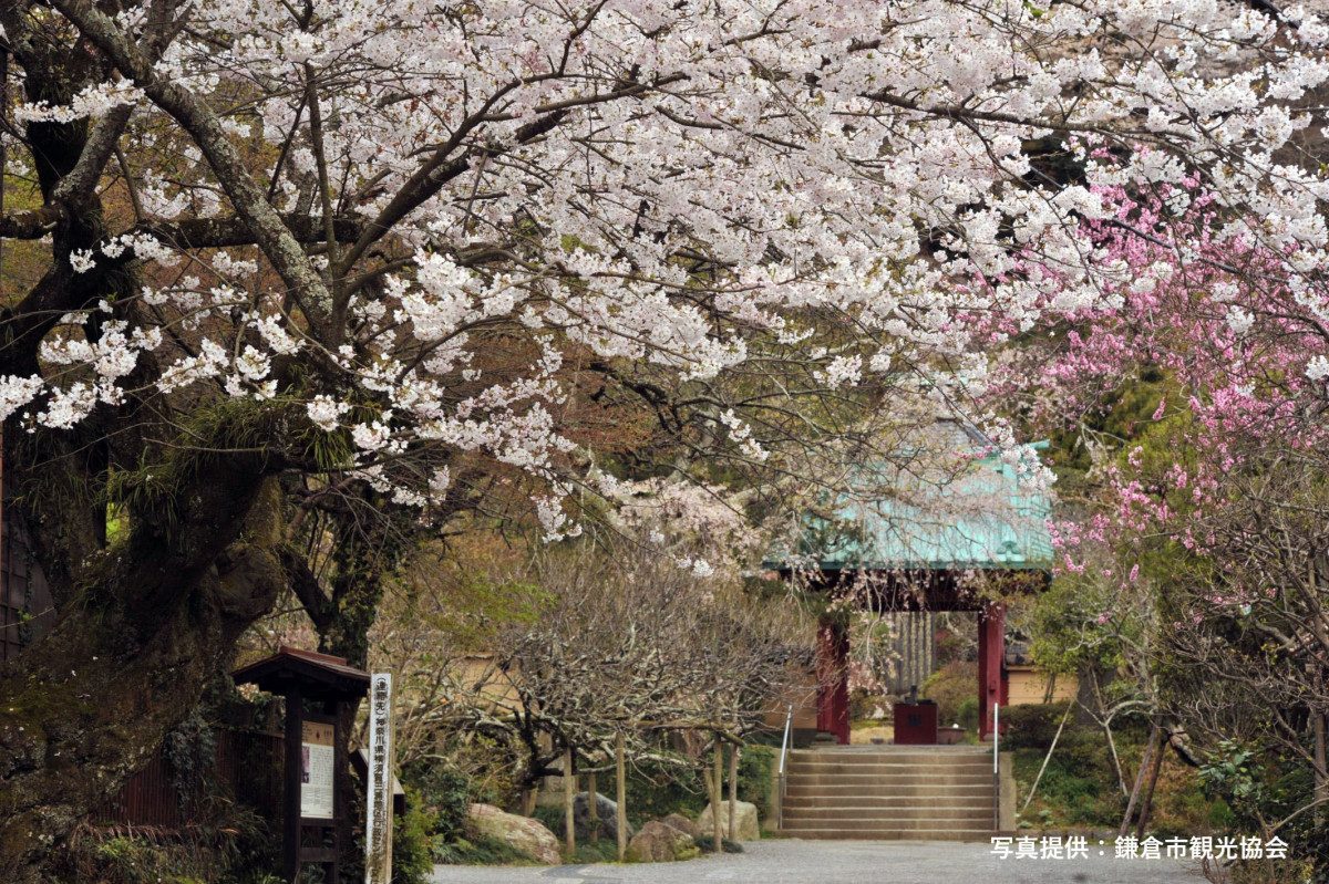 Kosoku-ji