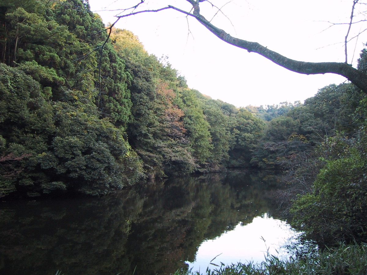 Sanzagaike Forest Park