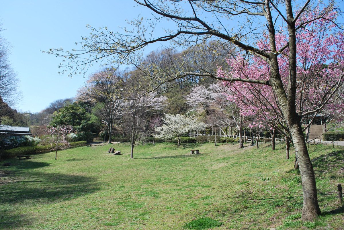 Kamakura Central Park