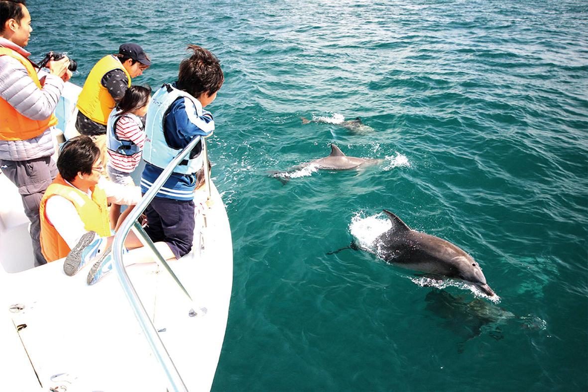 Sea Cruise