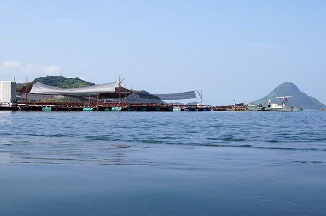 Tsuriichi Sea Fishing Pond