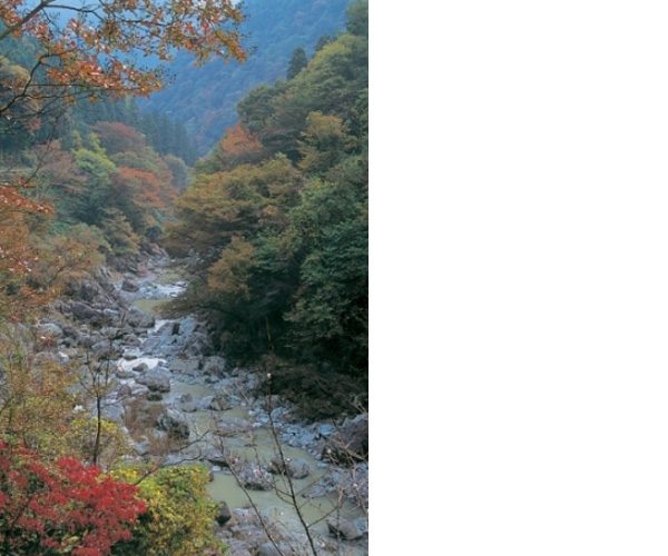 Shiro Mine Park
