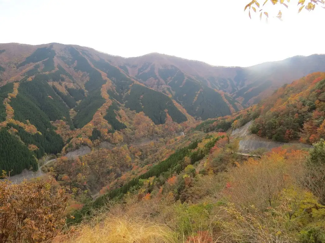 Namego Tani
