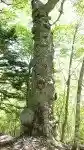 Kazusa Mata Yama