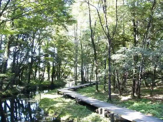 Isogawa Green Park
