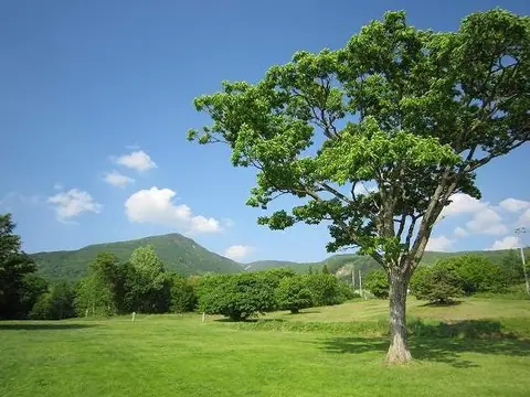 Zao Bodaira Highlands