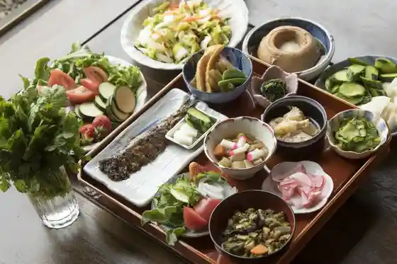 Niigata no Do Mannaka De Ajiwa U ! Noka no Donabe Go Meshi to Nogyo Experience