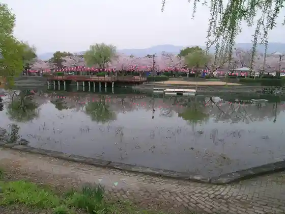 Kamojima Park seen across Egawa, Yoshinogawa