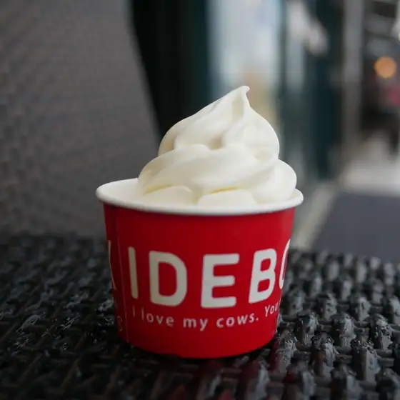 Idebok Ebina SA Inbound Store