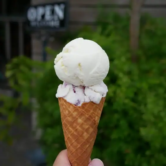 Hilo Homemade Ice Cream