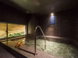Tennen Onsen Tenma no Yu Super Hotel Shonan Fujisawa