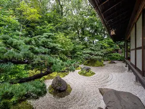 Motoyu Jinya