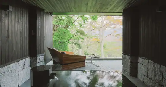 Seiyo Zensho John Kanaya