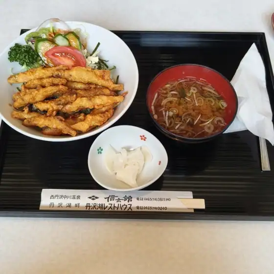 Tanzawako Rest House