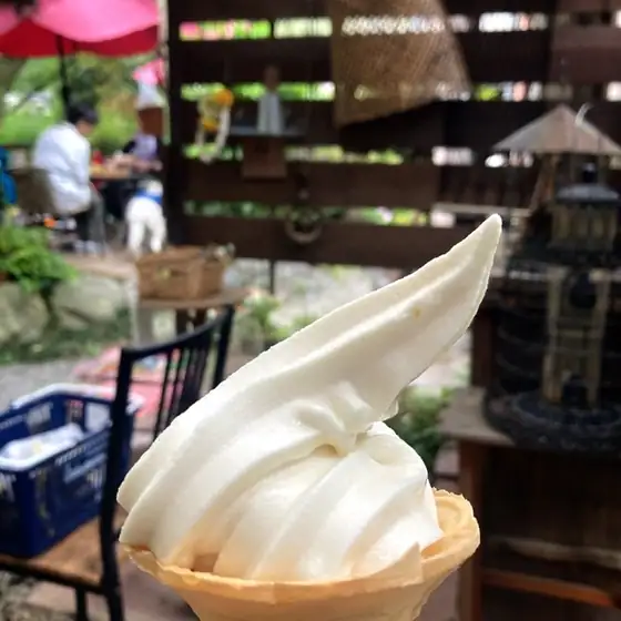 Yamakita Sakura Cafe