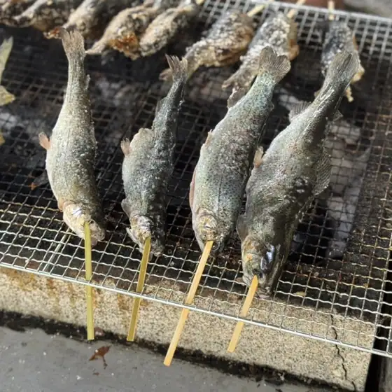 清川リバーランド