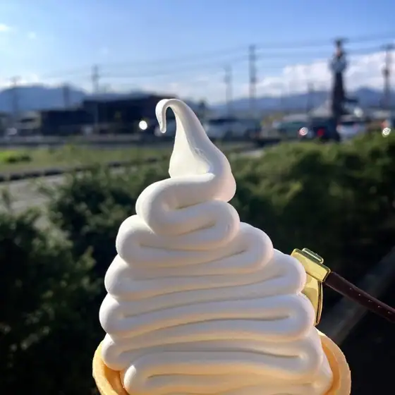 Ashigara Kintaro Milk Soft