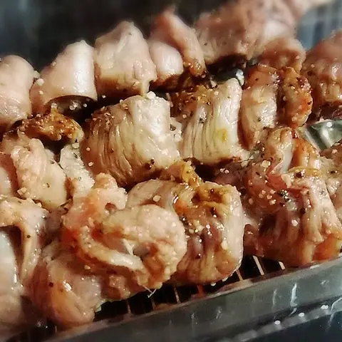 Yakitori Hormone Hori