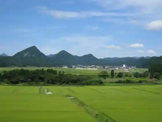 Kinzan Mibu Kusurishiyama Naka no Mori Kumatakamori