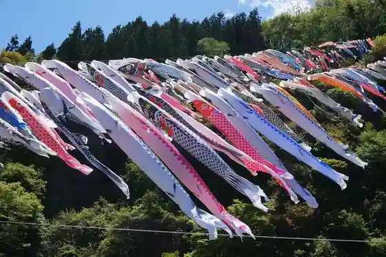 Kanna Carp Streamer Festival