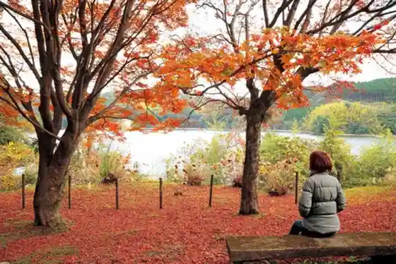 Osumi Lake