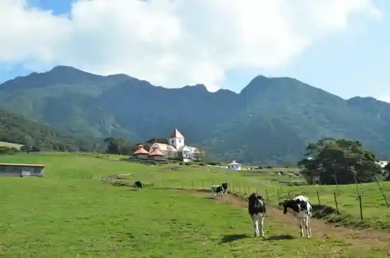 Kanoya City Narinoo Ranch