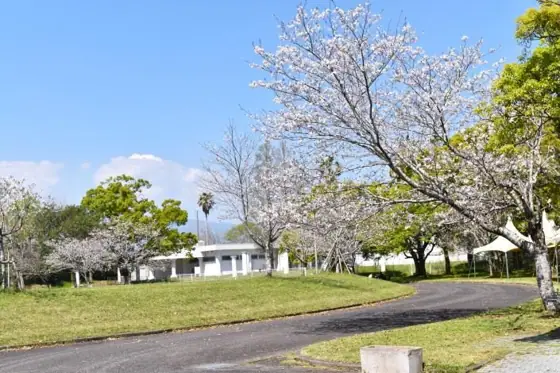 Kushira Peace Park
