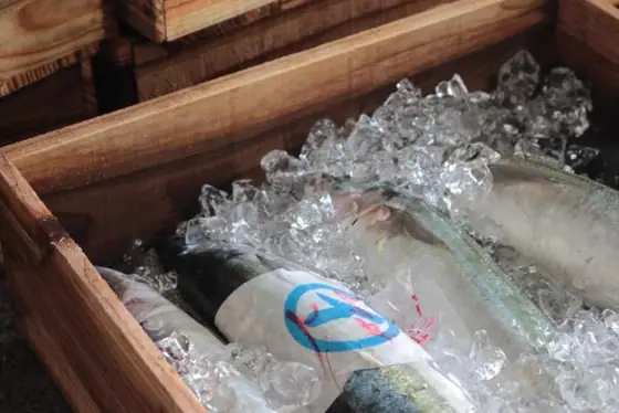Izumida Fresh Fish
