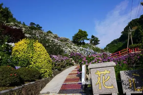 Ikoi-no-Sato Hydrangea Garden