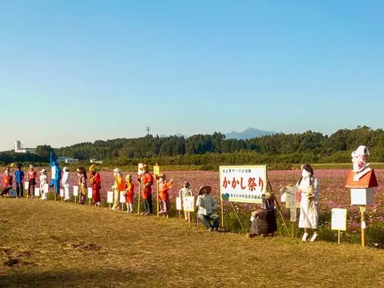 Minamishimizugawa Irrigation Association Cosmos Garden