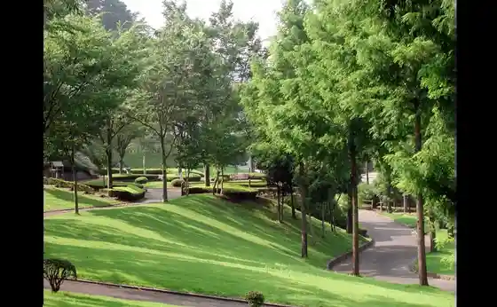 Kanra Comprehensive Park