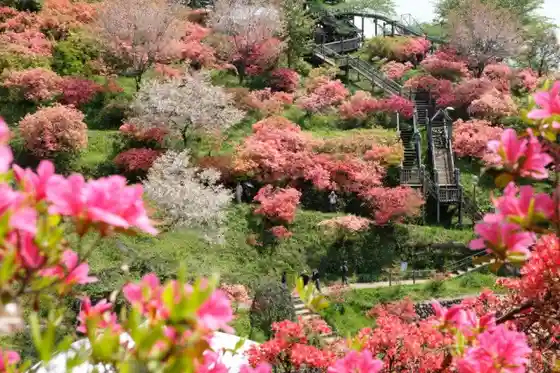 Awano Shiroyama Park