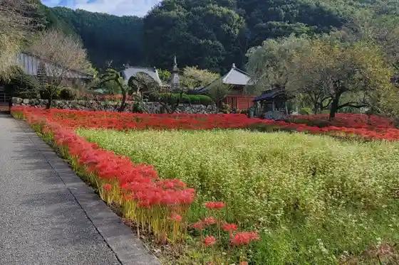 Jorakuji Temple (Rokujison)