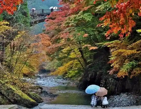 Oashi Gorge