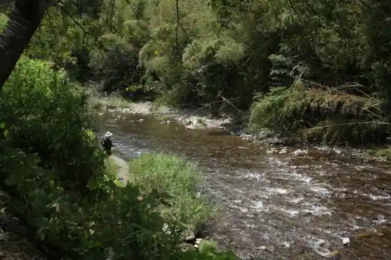 Kasuo River